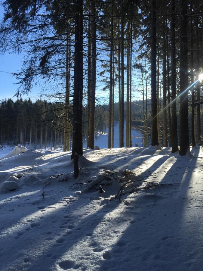 Apartmany Sportrelax Albrechtice v Jizerskych horach Eksteriør bilde